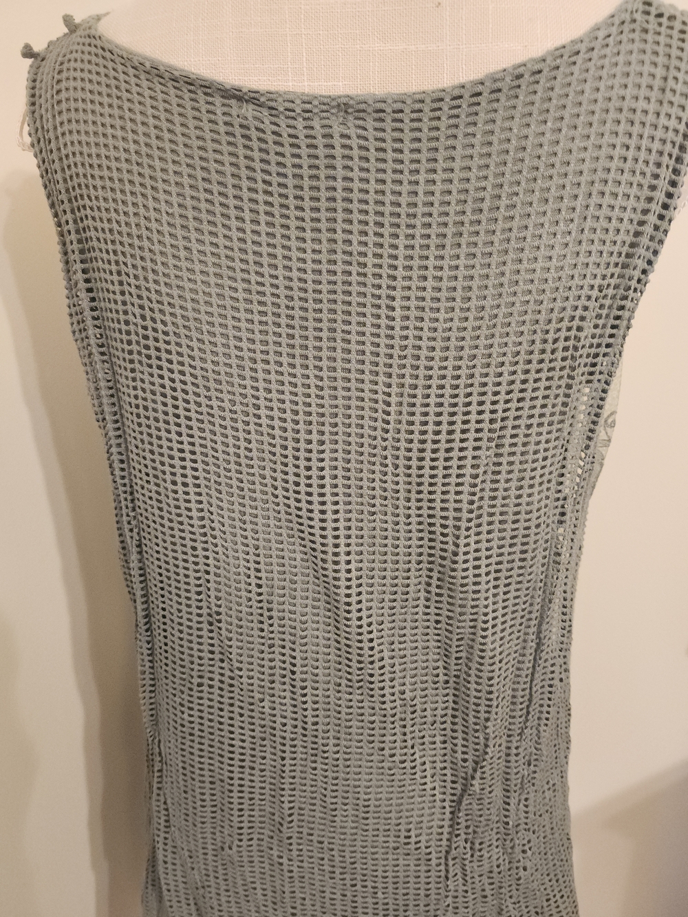 Embroidered Sleeveless Sheer Drese in Sage Green - Picture 6 of 8